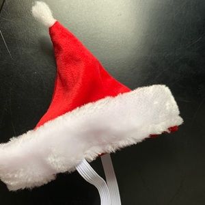 Santa dog hat 🎅🏾